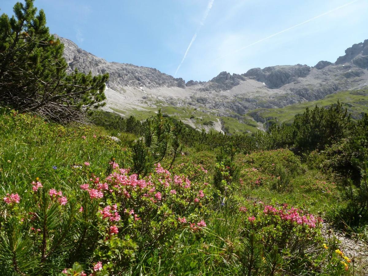 Auszeit Im Allgaeu 松托芬 外观 照片
